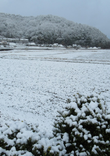 3月16日冬に逆戻り積雪3センチ